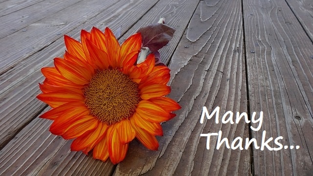Many Thanks