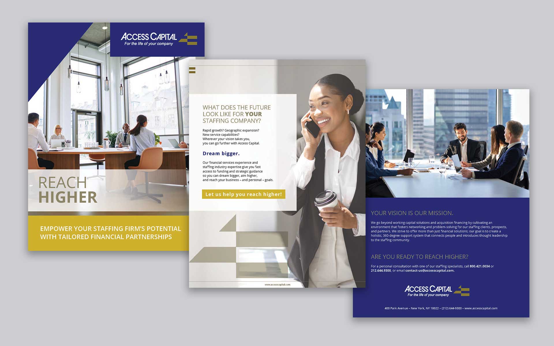 Access Capital eBook