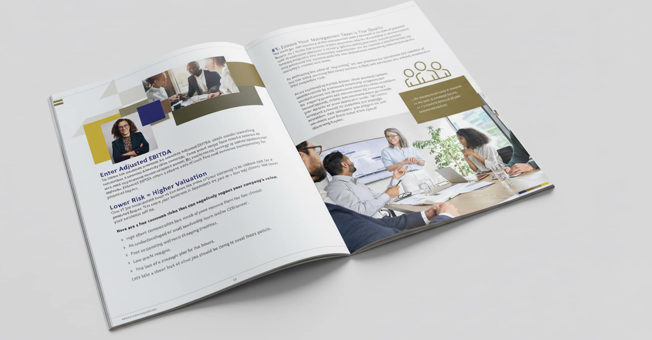 Access Capital eBook
