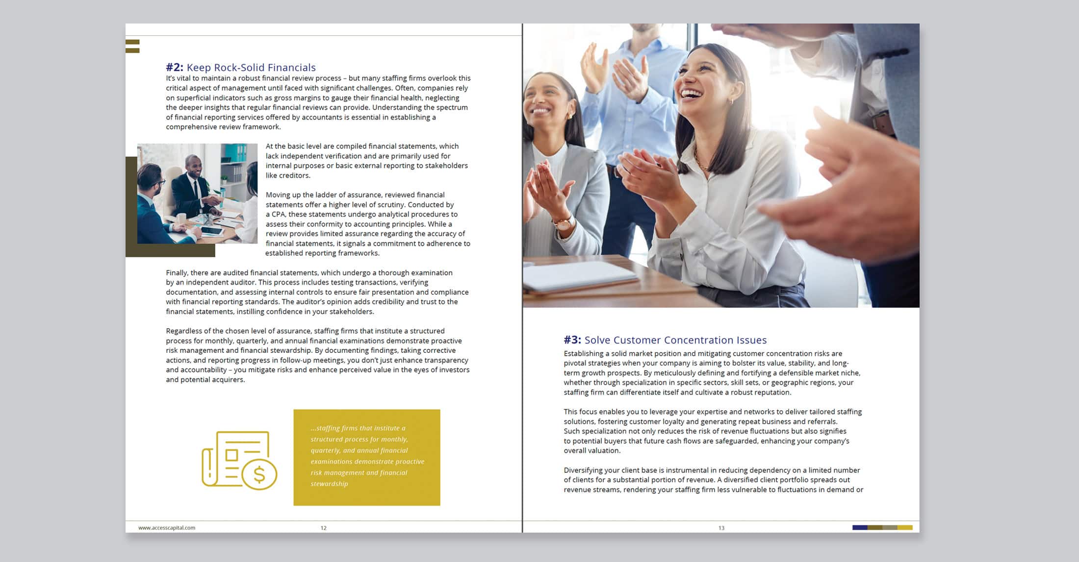 Access Capital eBook